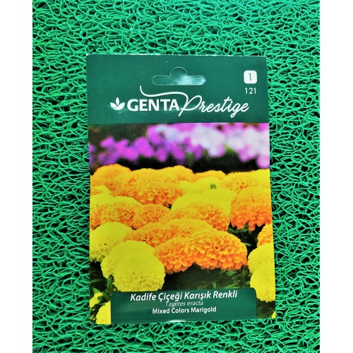 GENTA KADİFE ÇİÇEĞİ KARIŞIK RENKLİ