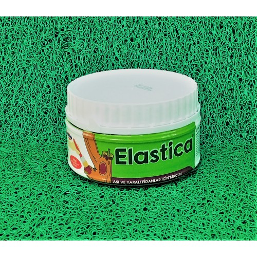 ELASTİCA AŞI MACUNU 250ML