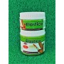 ELASTİCA AŞI MACUNU 250ML