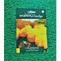 GENTA KADİFE ÇİÇEĞİ İRİ KAFA