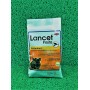 LANCET PASTA 100GR