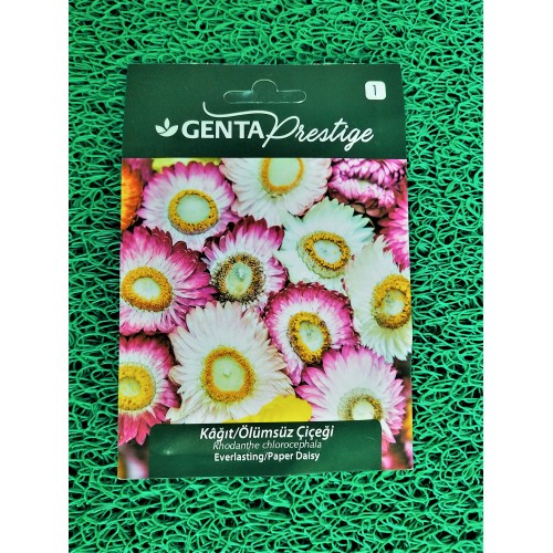 GENTA KAĞIT/ÖLÜMSÜZ ÇİÇEĞİ