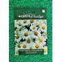 GENTA MARGRİT/ALMAN PAPATYASI
