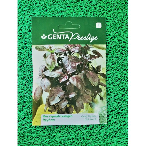 GENTA MOR FESLEĞEN/REYHAN