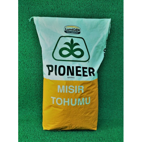 PİONEER 30B74 MISIR TOHUMU 50 000 ADET
