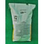 PİONEER 31A34 FORCE+FORTENZA MISIR TOHUMU 50 000 ADET